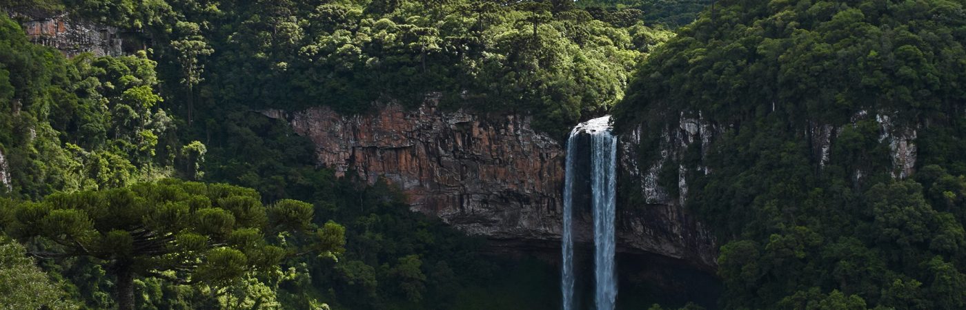 banner-medio-ambiente-texless